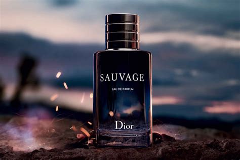 dior sauvqge|Dior Sauvage best price.